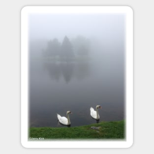 'Swans in Fog' Sticker